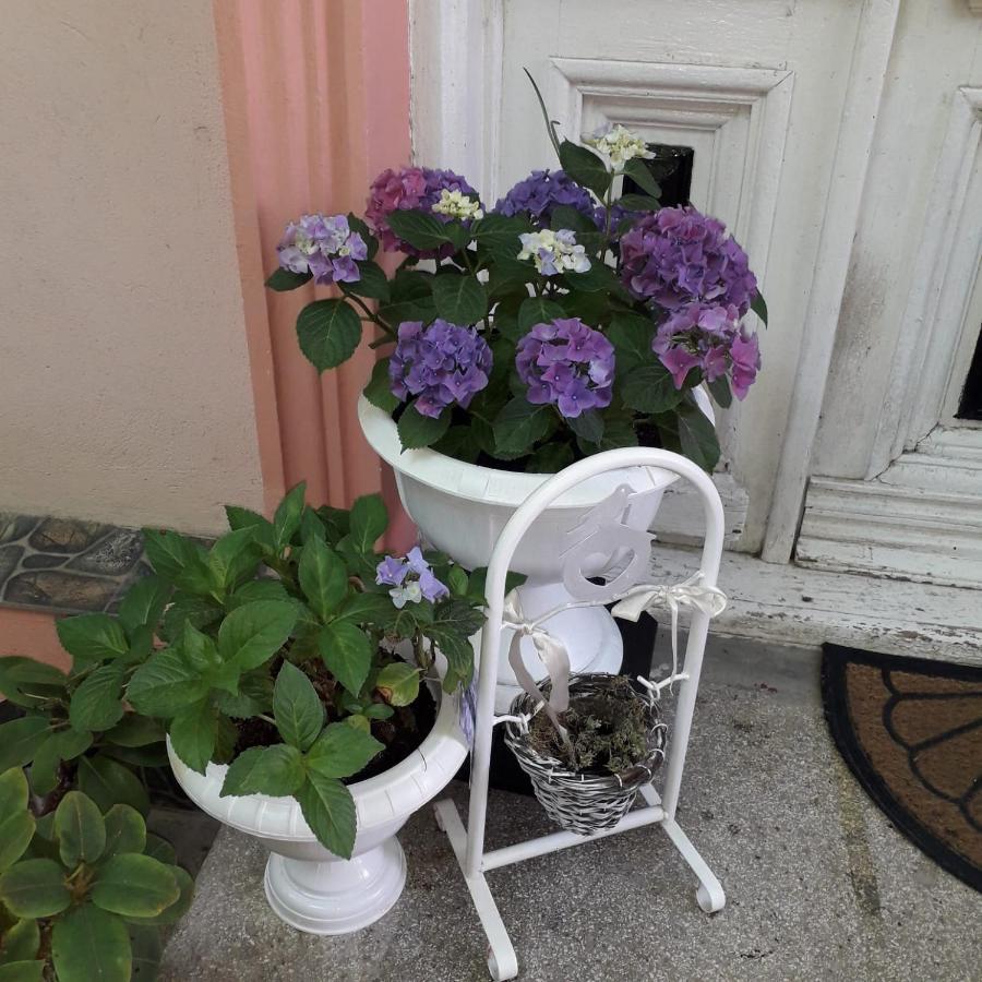Victory Sea House Hotel Constanta Bagian luar foto